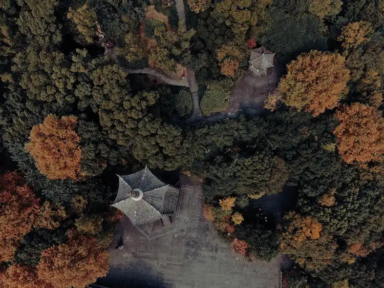 Hotels near Lu Mountain Park
