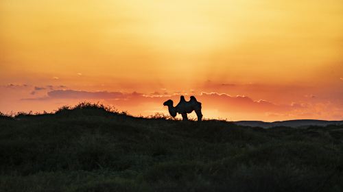 通湖濕地草原旅遊區