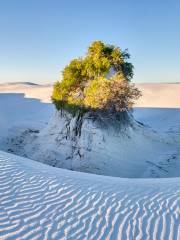 Parco nazionale White Sands