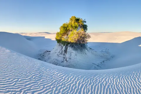 Parco nazionale White Sands