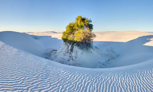 White Sands National Park