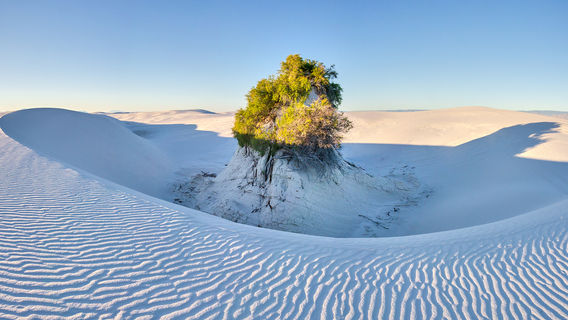 Государственный заповедник Белые пески