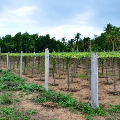 Vé máy bay Trùng Khánh Coimbatore