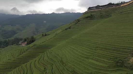 金佛顶观景台位于龙脊梯田景区最高处，有索道可以直达，是游客最