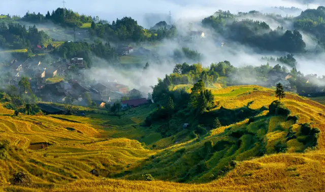 Terraced Fields Viewing in Yunhe