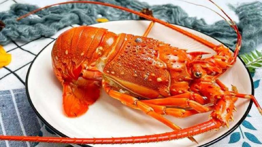 Món ăn Việt Nam