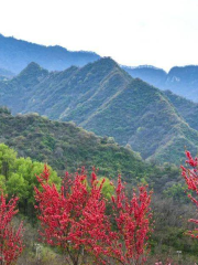 Qinling Mountains