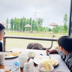 Little Panda Restaurant User Photo