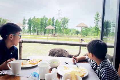 Little Panda Restaurant