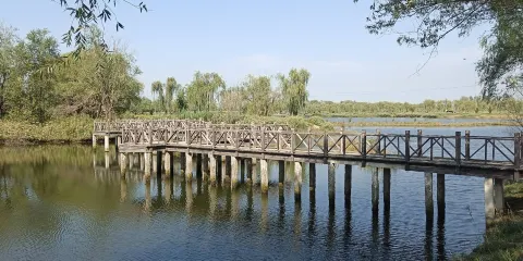 四季河人工濕地公園