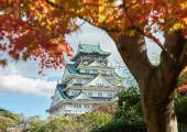 【大阪紅葉2026】大阪賞楓熱門景點推薦!紅葉最佳觀賞時間、賞楓地圖、見頃資訊懶人包!