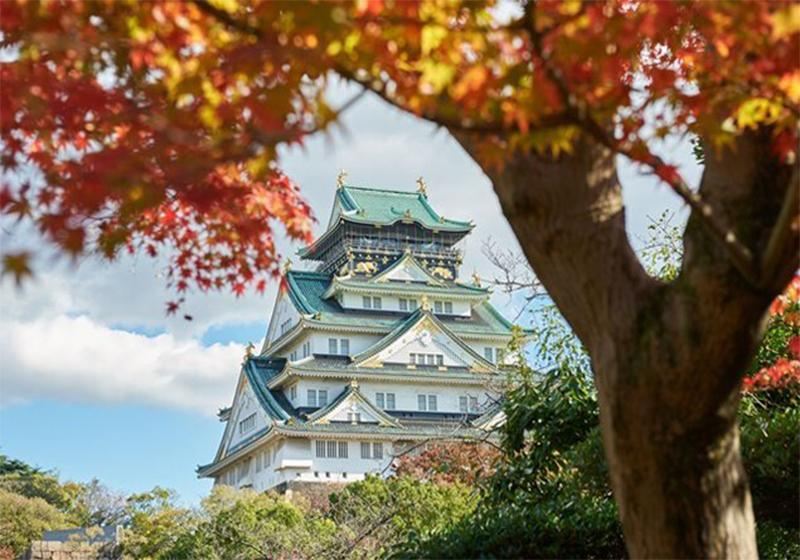 【大阪紅葉2026】賞楓景點、紅葉地圖、最佳觀賞時間&見頃資訊懶人包！
