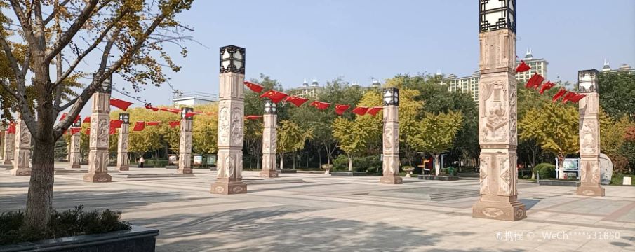 辛集
