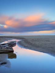 Long Bay Regional Park