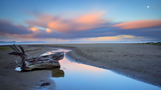 Long Bay Regional Park