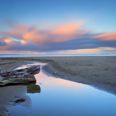 Vuelos Whitianga Great Barrier Island