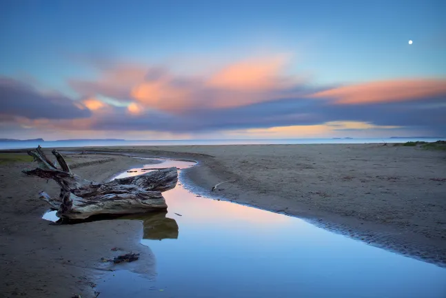 Flights to Gisborne