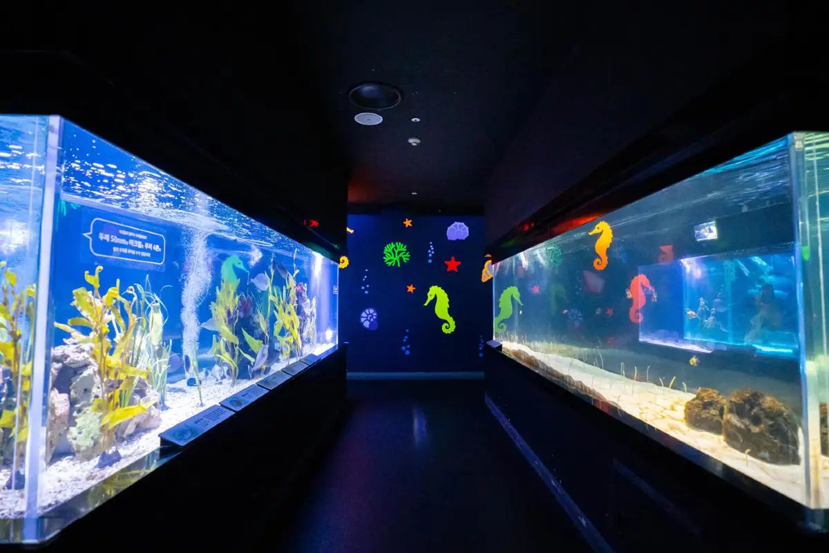 대구 신세계 아쿠아리움