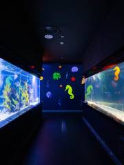 Daegu Aquarium
