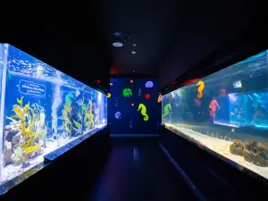 Daegu Aquarium
