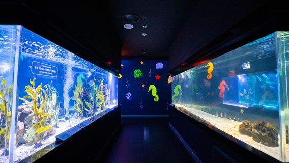 Daegu Aquarium