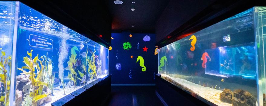 Daegu Aquarium
