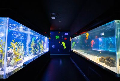 Daegu Aquarium