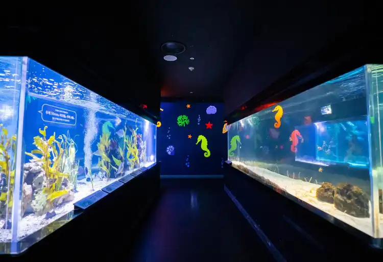 Hotels in der Nähe von Daegu Aquarium