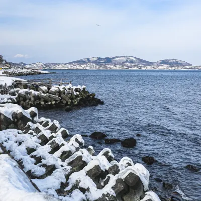 虎杖浜温泉ホテル（ぬくもりの湯）