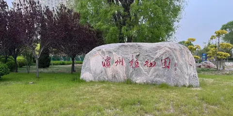 中海公園（渤海十六路）-濱州植物園