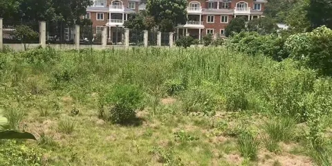 三合潭文化遺址