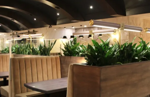 Chop Steakhouse & Bar
