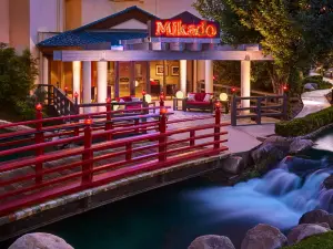 Mikado at Desert Springs JW Marriott