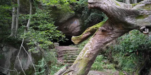 含暉洞