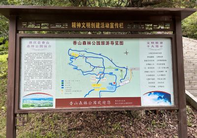 Шаншаньский лесный парк