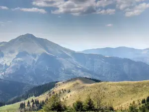 Parc naturel Monts Maramureș