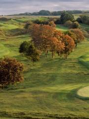 Tregaron Golf Course