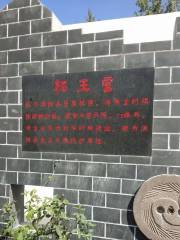 亳州柘王宮遺址