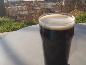 The Black Turtle
