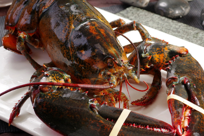 6号海鲜(六号院店)