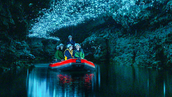 Spellbound Glowworm and Cave Tour