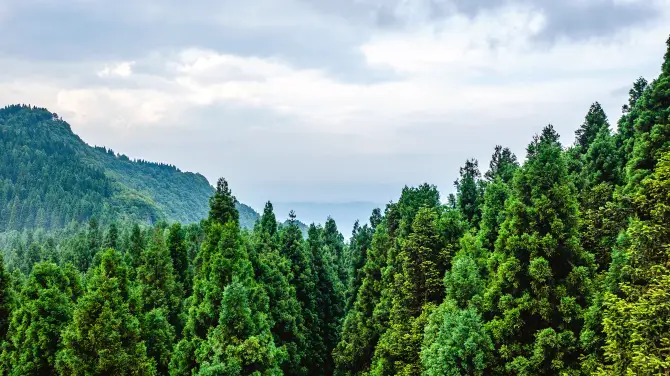 富爾山