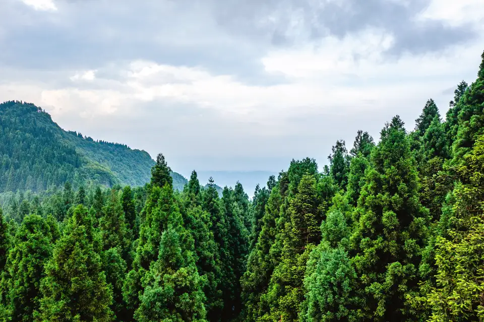 富爾山