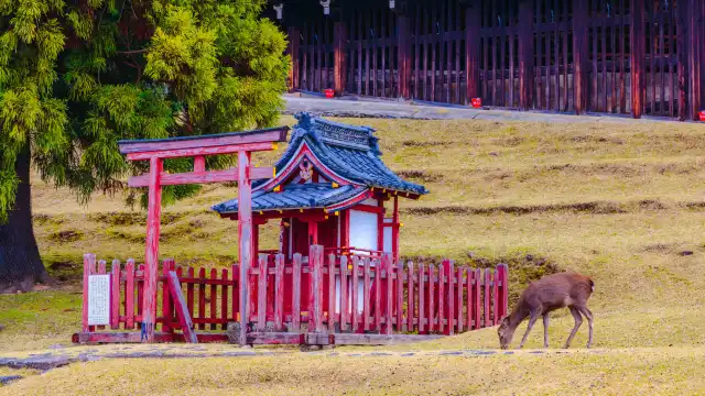 Hotels in der Nähe von Nigatsu-do