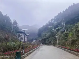 Guanyin Mountain Forest Park