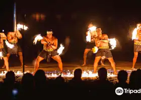 Toa Luau