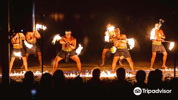 Toa Luau