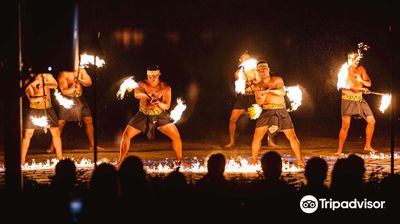 Toa Luau