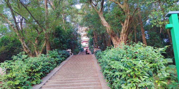 Zhenshan Scenic Area
