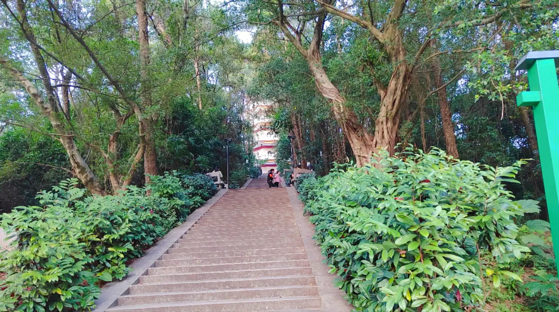 Hotels near Zhenshan Scenic Area